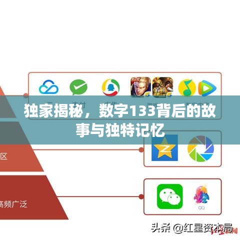 独家揭秘,数字133背后的故事与独特记忆