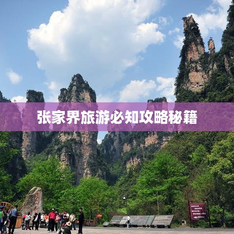 联系我们 第78页