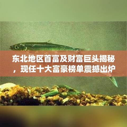 东北地区首富及财富巨头揭秘，现任十大富豪榜单震撼出炉！