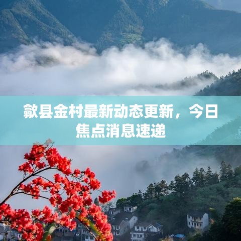 歙县金村最新动态更新,今日焦点消息速递
