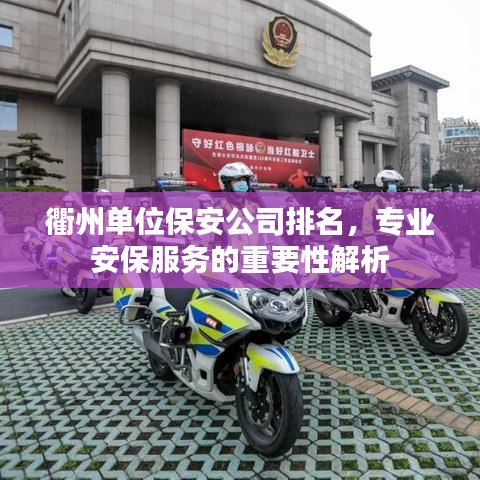 衢州单位保安公司排名,专业安保服务的重要性解析