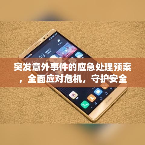 突发意外事件的应急处理预案,全面应对危机,守护安全