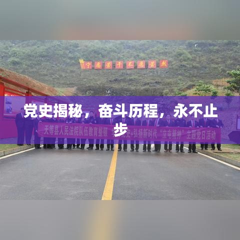 党史揭秘,奋斗历程,永不止步