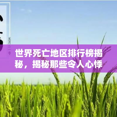 世界死亡地区排行榜揭秘，揭秘那些令人心悸的死亡高发地