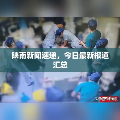 陕南新闻速递,今日最新报道汇总