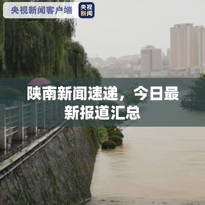陕南新闻速递,今日最新报道汇总