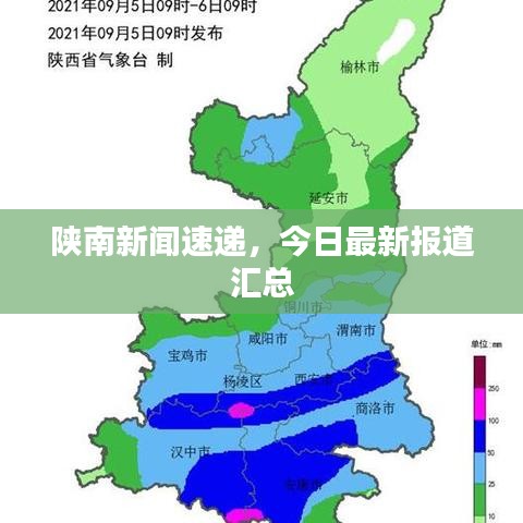 陕南新闻速递,今日最新报道汇总