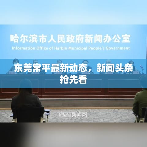 东莞常平最新动态,新闻头条抢先看