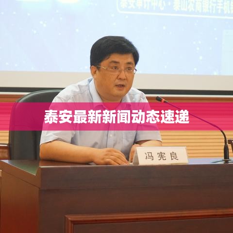 泰安最新新闻动态速递