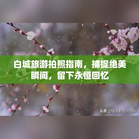 白城旅游拍照指南,捕捉绝美瞬间,留下永恒回忆