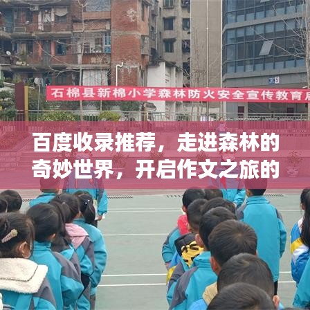 百度收录推荐,走进森林的奇妙世界,开启作文之旅的探险之旅!