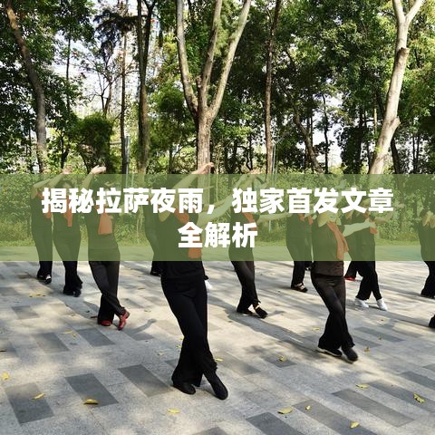 揭秘拉萨夜雨，独家首发文章全解析