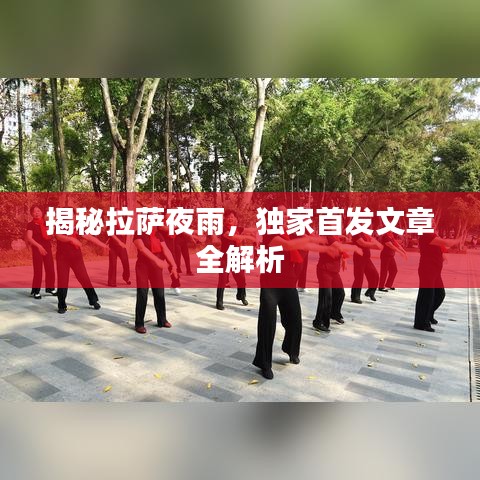 揭秘拉萨夜雨,独家首发文章全解析