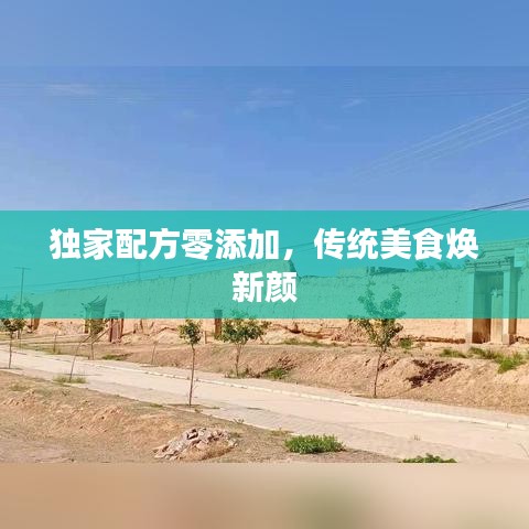 独家配方零添加，传统美食焕新颜