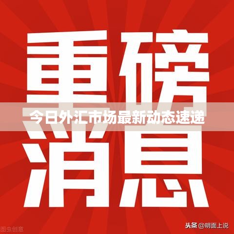 今日外汇市场最新动态速递