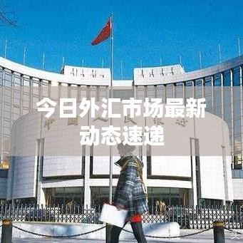 今日外汇市场最新动态速递
