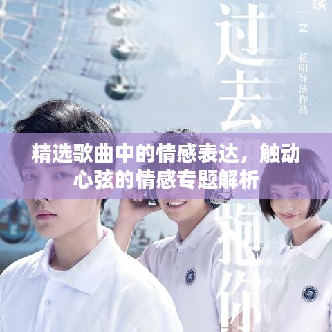 精选歌曲中的情感表达,触动心弦的情感专题解析