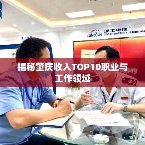揭秘肇庆收入TOP10职业与工作领域