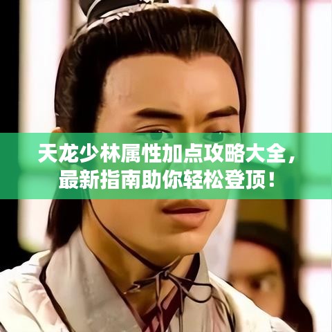 天龙少林属性加点攻略大全，最新指南助你轻松登顶！