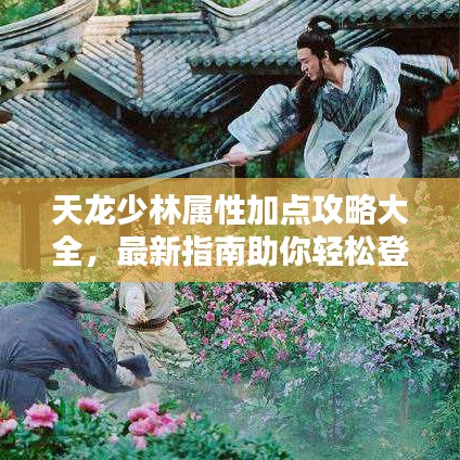天龙少林属性加点攻略大全,最新指南助你轻松登顶!
