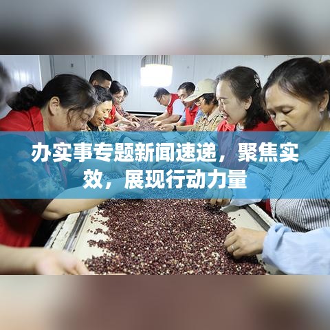 办实事专题新闻速递,聚焦实效,展现行动力量