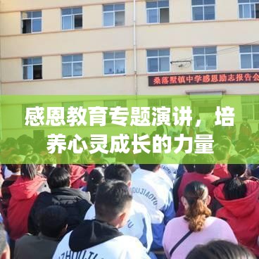 感恩教育专题演讲,培养心灵成长的力量