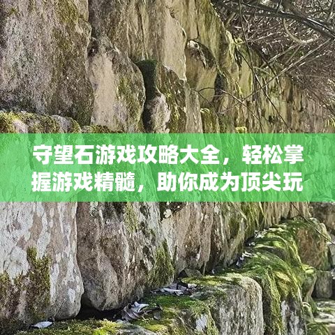 守望石游戏攻略大全，轻松掌握游戏精髓，助你成为顶尖玩家