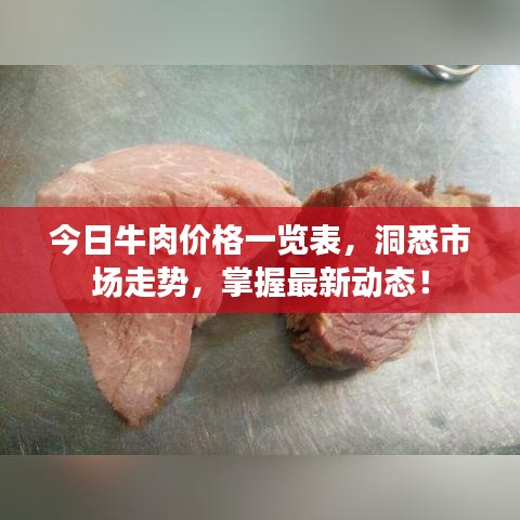 今日牛肉价格一览表,洞悉市场走势,掌握最新动态!