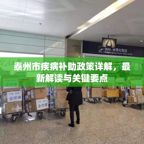 泰州市疾病补助政策详解，最新解读与关键要点