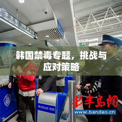 韩国禁毒专题,挑战与应对策略