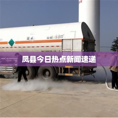 凤县今日热点新闻速递