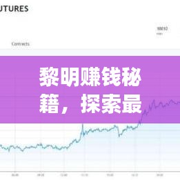 黎明赚钱秘籍，探索最新财富增长路径