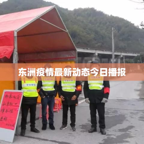 东洲疫情最新动态今日播报