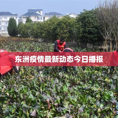 东洲疫情最新动态今日播报