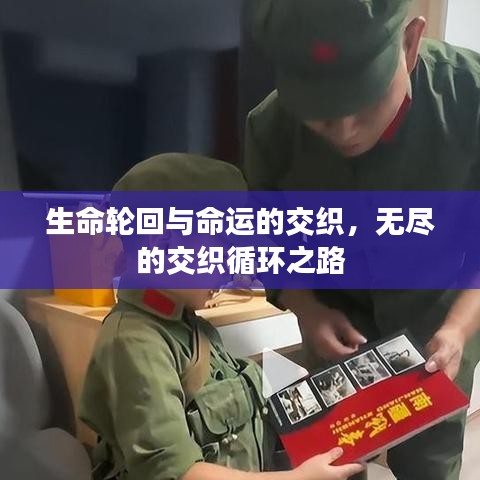 生命轮回与命运的交织,无尽的交织循环之路