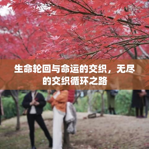 生命轮回与命运的交织,无尽的交织循环之路