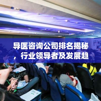 导医咨询公司排名揭秘，行业领导者及发展趋势洞察