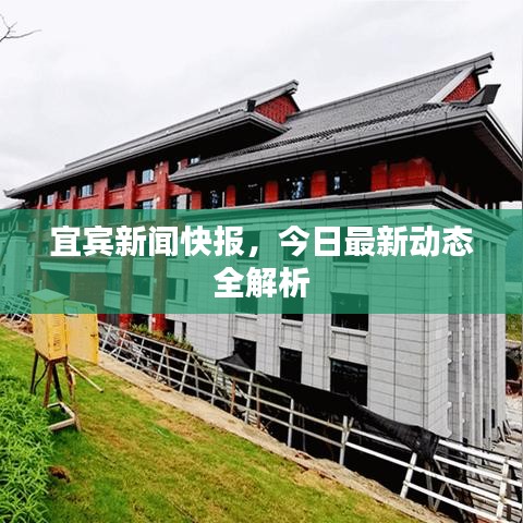 美式台球桌 第81页