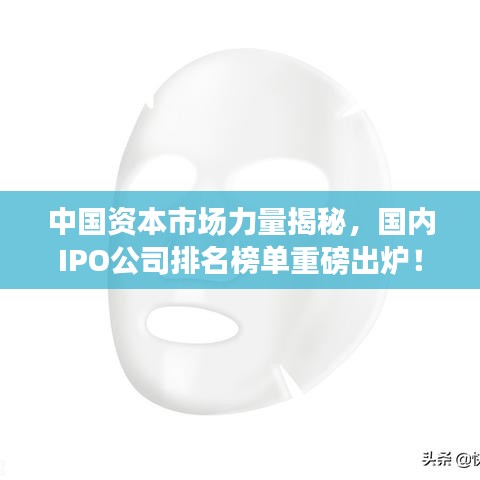 中国资本市场力量揭秘,国内IPO公司排名榜单重磅出炉!