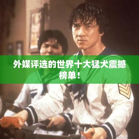 外媒评选的世界十大猛犬震撼榜单!