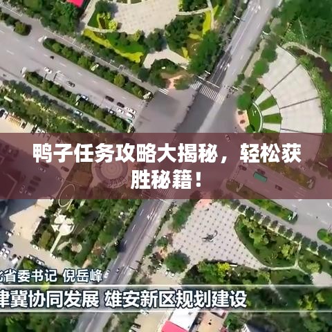鸭子任务攻略大揭秘,轻松获胜秘籍!