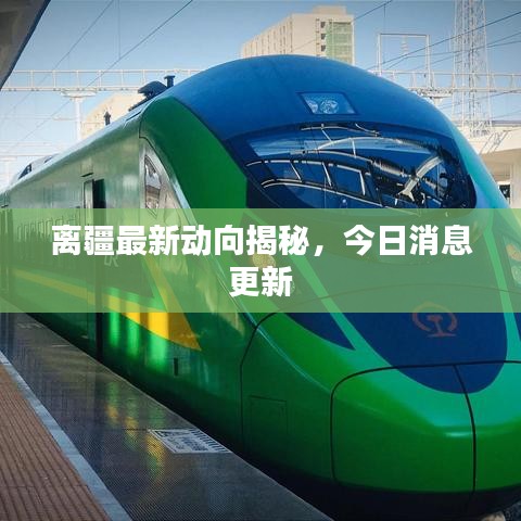 离疆最新动向揭秘，今日消息更新