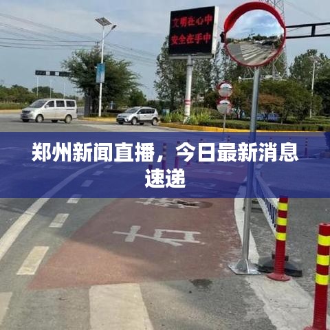 郑州新闻直播,今日最新消息速递