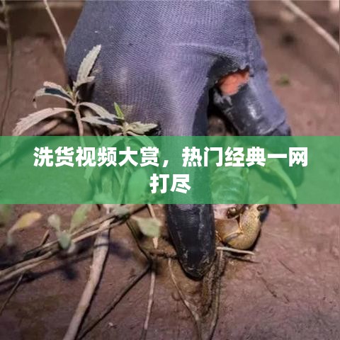 洗货视频大赏，热门经典一网打尽