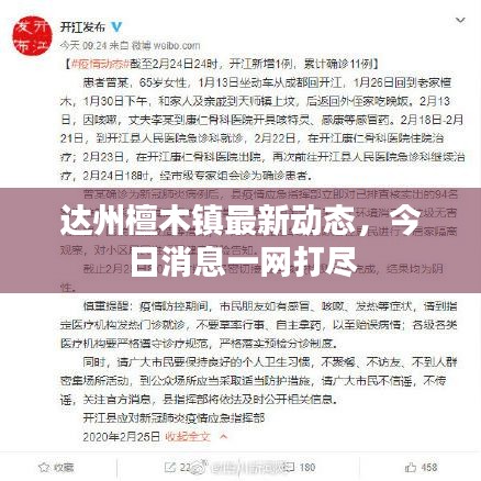 达州檀木镇最新动态,今日消息一网打尽