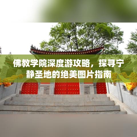 佛教学院深度游攻略,探寻宁静圣地的绝美图片指南