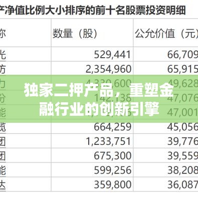 独家二押产品,重塑金融行业的创新引擎