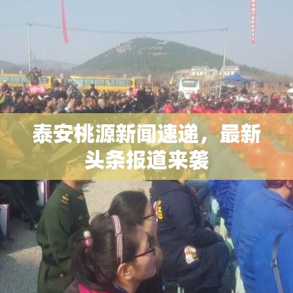 泰安桃源新闻速递,最新头条报道来袭