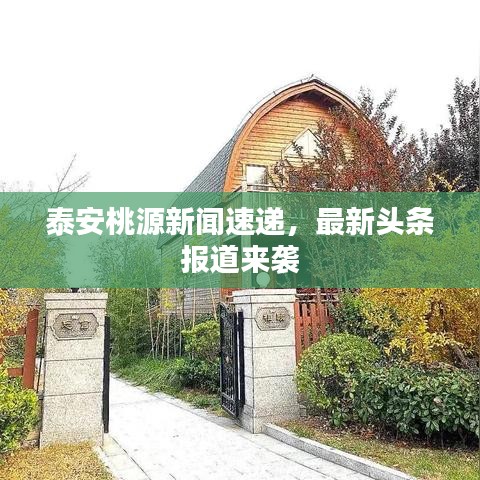泰安桃源新闻速递,最新头条报道来袭