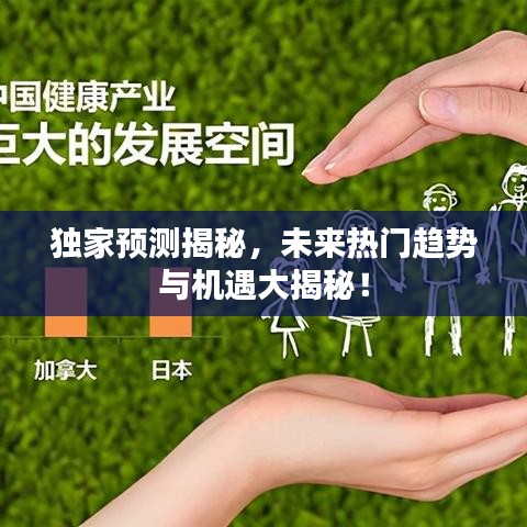 独家预测揭秘,未来热门趋势与机遇大揭秘!